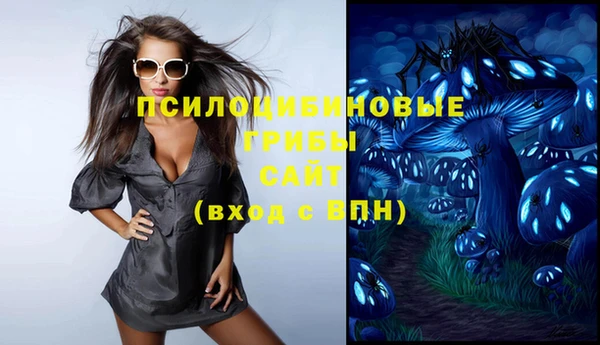 трава Бородино