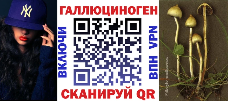 даркнет сайт  Свободный  KRAKEN рабочий сайт  Псилоцибиновые грибы прущие грибы 
