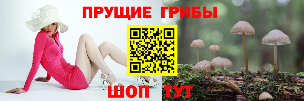 Псилоцибиновые грибы ЛСД Свободный